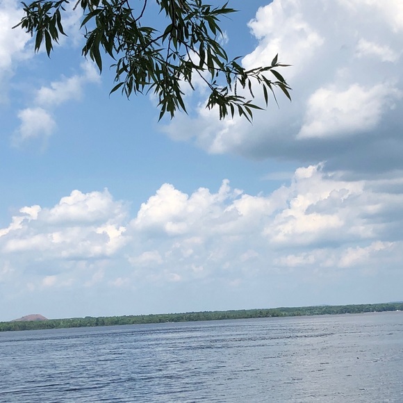 Meet your Posher, Chantelle - Picture 1 of 1